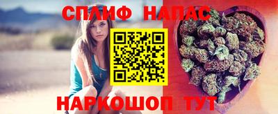 таблы Славгород