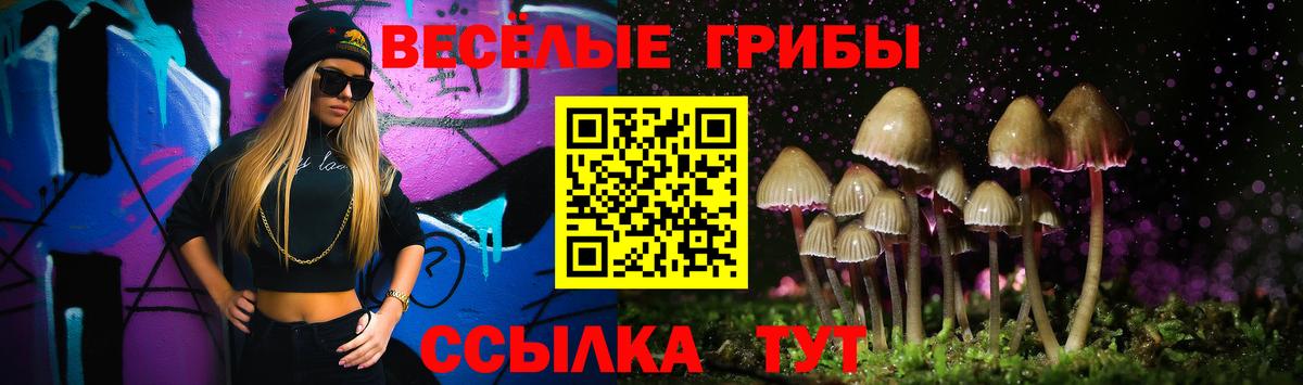 Обь  Галлюциногенные грибы прущие грибы  Вход с VPN 